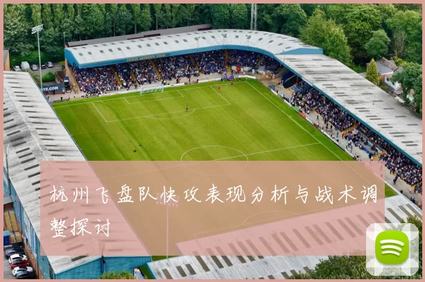 杭州飞盘队快攻表现分析与战术调整探讨