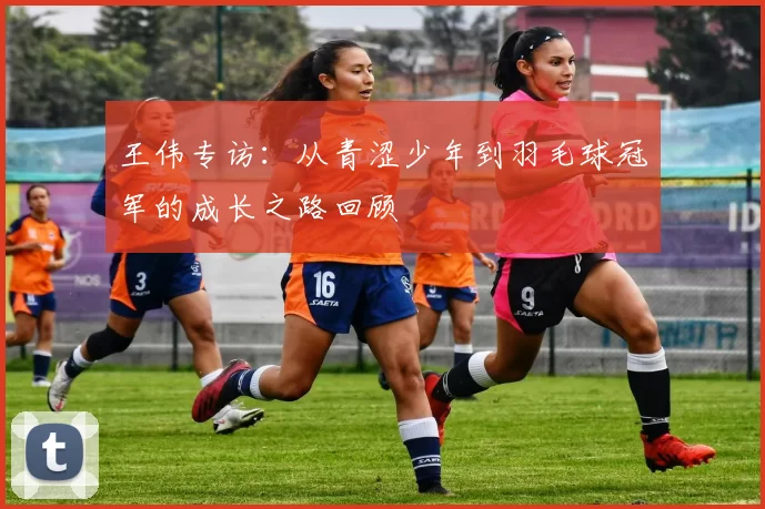 王伟专访：从青涩少年到羽毛球冠军的成长之路回顾