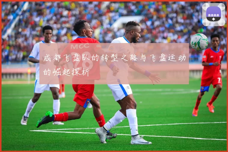成都飞盘队的转型之路与飞盘运动的崛起探析