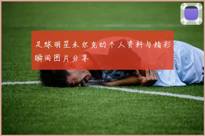 足球明星米尔克的个人资料与精彩瞬间图片分享