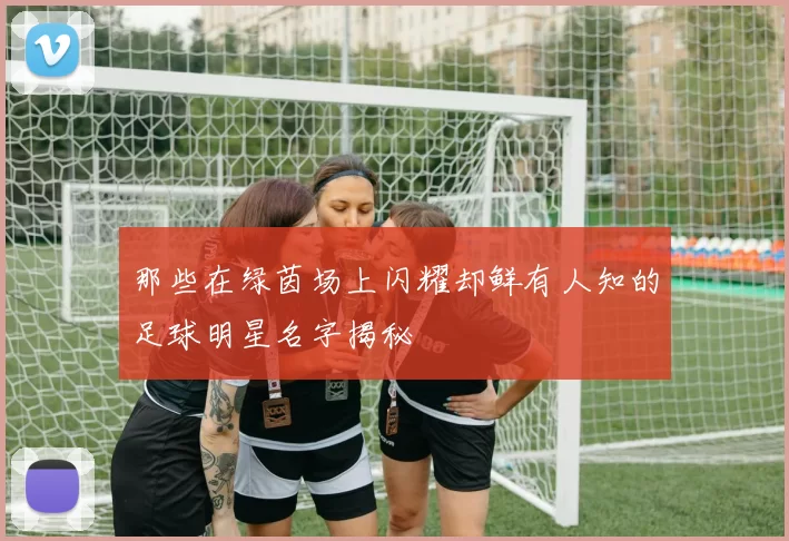 那些在绿茵场上闪耀却鲜有人知的足球明星名字揭秘