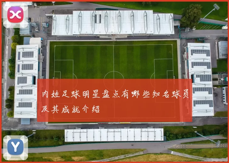 内姓足球明星盘点有哪些知名球员及其成就介绍