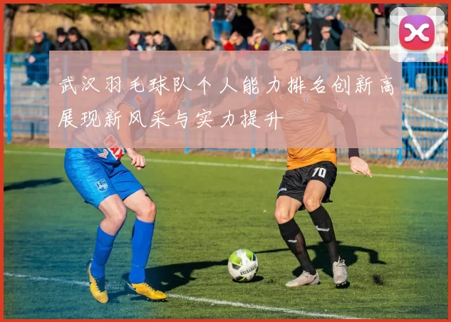 武汉羽毛球队个人能力排名创新高展现新风采与实力提升