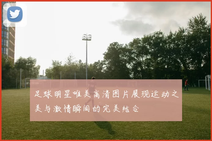 足球明星唯美高清图片展现运动之美与激情瞬间的完美结合