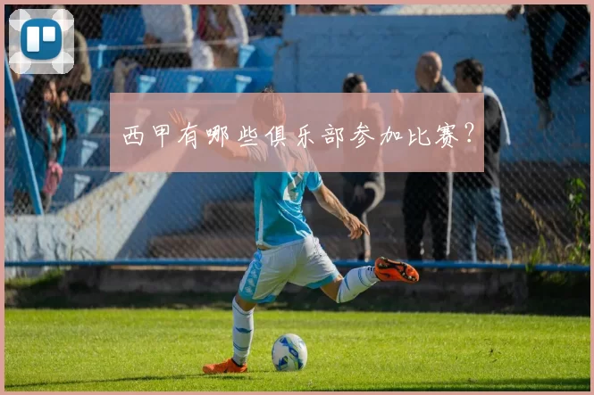 西甲有哪些俱乐部参加比赛？