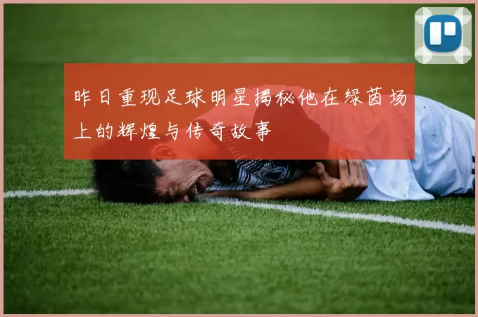 昨日重现足球明星揭秘他在绿茵场上的辉煌与传奇故事
