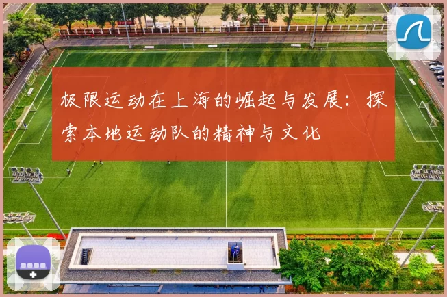 极限运动在上海的崛起与发展：探索本地运动队的精神与文化