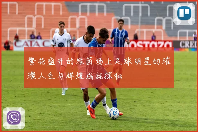 繁花盛开的绿茵场上足球明星的璀璨人生与辉煌成就探秘