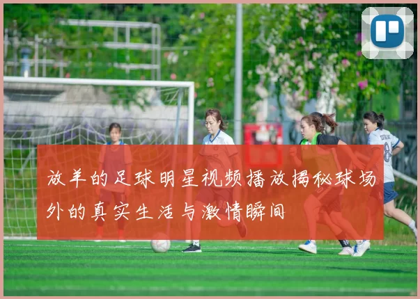 放羊的足球明星视频播放揭秘球场外的真实生活与激情瞬间