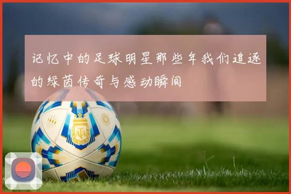 记忆中的足球明星那些年我们追逐的绿茵传奇与感动瞬间