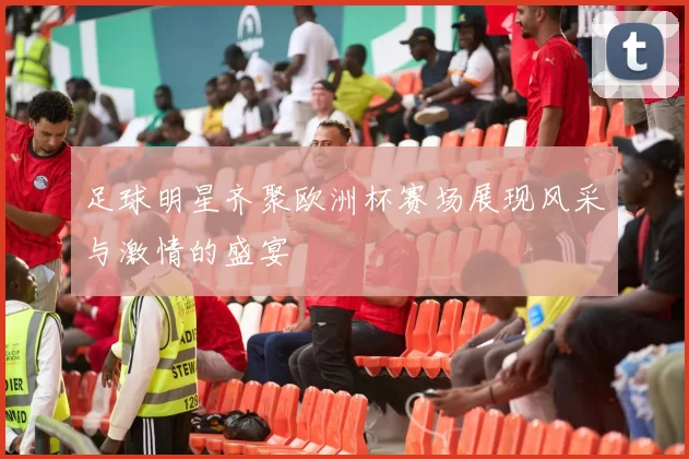 足球明星齐聚欧洲杯赛场展现风采与激情的盛宴