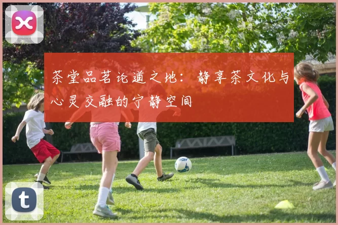 茶堂品茗论道之地：静享茶文化与心灵交融的宁静空间