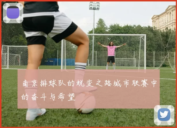 南京排球队的蜕变之路城市联赛中的奋斗与希望