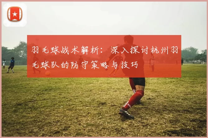 羽毛球战术解析：深入探讨杭州羽毛球队的防守策略与技巧