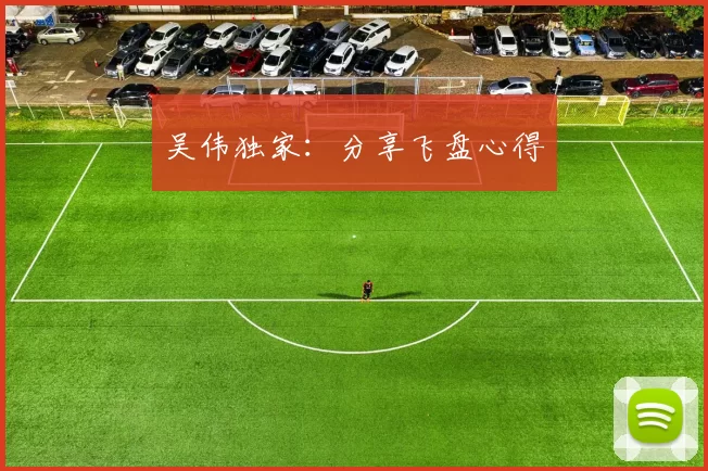 吴伟独家：分享飞盘心得
