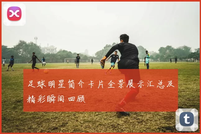 足球明星简介卡片全景展示汇总及精彩瞬间回顾