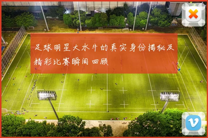 足球明星大水牛的真实身份揭秘及精彩比赛瞬间回顾