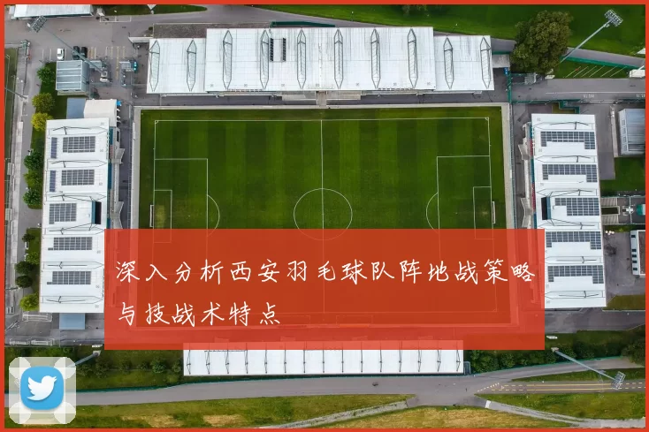 深入分析西安羽毛球队阵地战策略与技战术特点