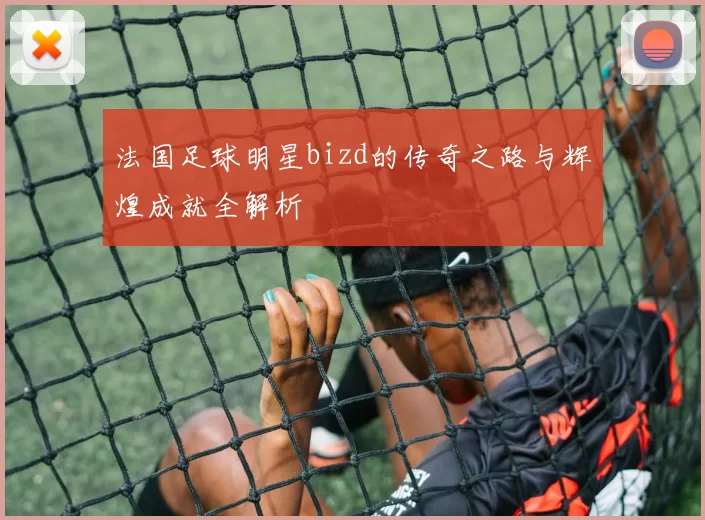 法国足球明星bizd的传奇之路与辉煌成就全解析