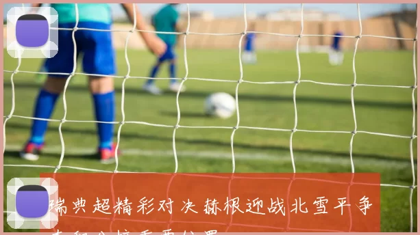 瑞典超精彩对决赫根迎战北雪平争夺积分榜重要位置