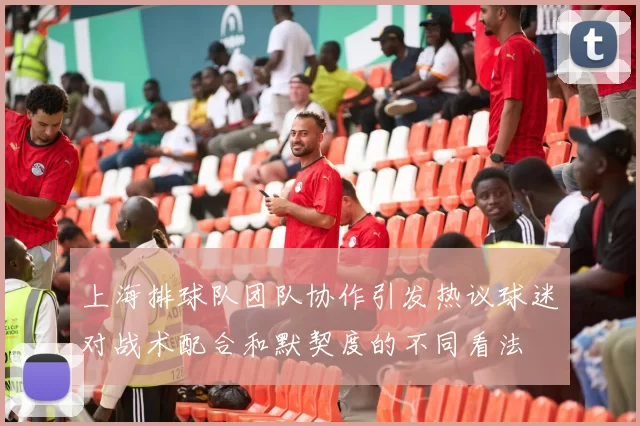 上海排球队团队协作引发热议球迷对战术配合和默契度的不同看法